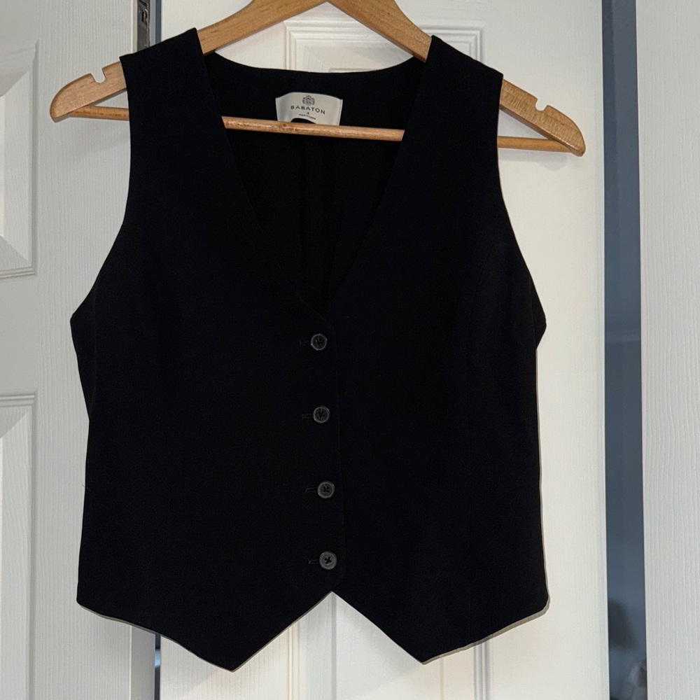 Aritzia Babaton Curio Vest